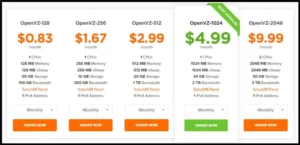 OpenVZ VPS Plans - HostNamaste Review - Why this Hosting proves to be Value for Money – MyHostingProvider